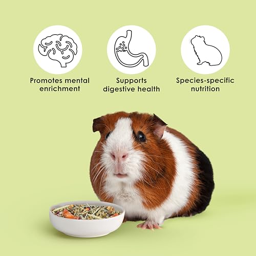 Kaytee Food from The Wild Natural Pet Guinea Pig Food, 4 Pound - view 5