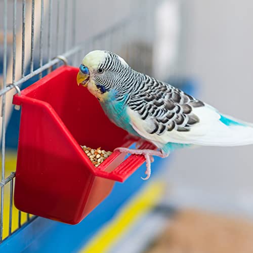 Wild Harvest Universal Blend for Small Birds, 10 lb Bag, Fortified Nutrition - view 6