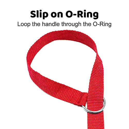 Downtown Pet Supply 6ft Dog Kennel Slip Lead Leash for Dogs - Veterinarian, Grooming, Daycare & Animal Rescue  - view 5