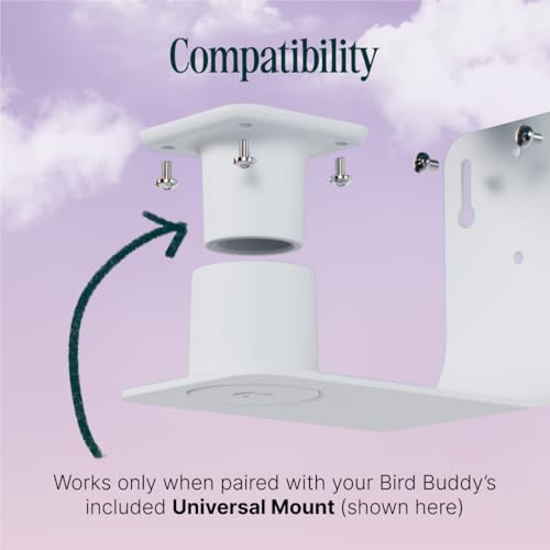 Birdbuddy Wall Mount - Versatile Bird Feeder Wall Mount for Wall & Fences - Durable, Weather-Proof Heavy Duty  - view 5