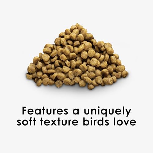 Kaytee Nutri Soft Pet Parrot & Conure Bird Food, 3 Pound - view 3