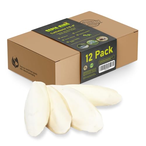 Medium - 100% Natural Calcium Supplement - Premium Cuttlebone Perfect for Birds, Tortoises, Snails, Reptiles - - view 2