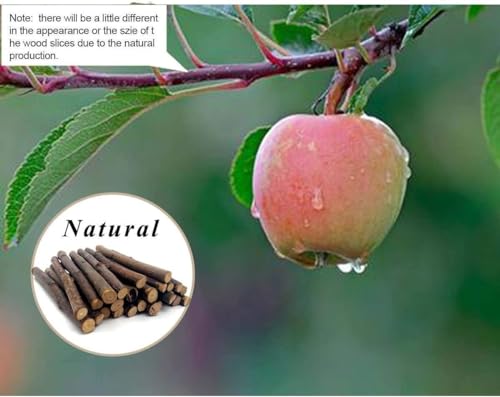 William Craft Apple Sticks Pet Chew Toy Treats for Chinchilla Guinea Pigs Rabbits Squirrel Hamster Bunny - view 5