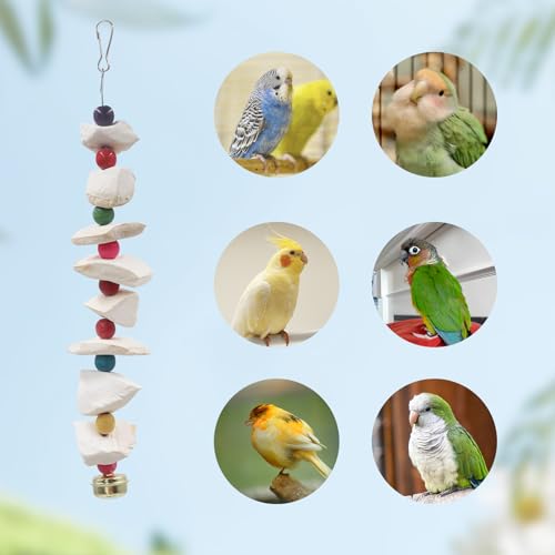 2 Pack Bird Toys with Cuttlebone, Parakeet Toys, Bird Beak Grinding Stone, Cage Accessories for Parakeets, Cut - view 5