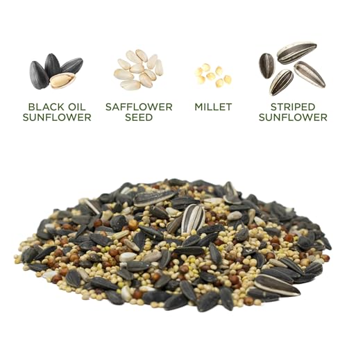 Audubon Park Songbird Supreme Wild Bird Seed for Outside Feeders, 15-lb. Bag - view 5