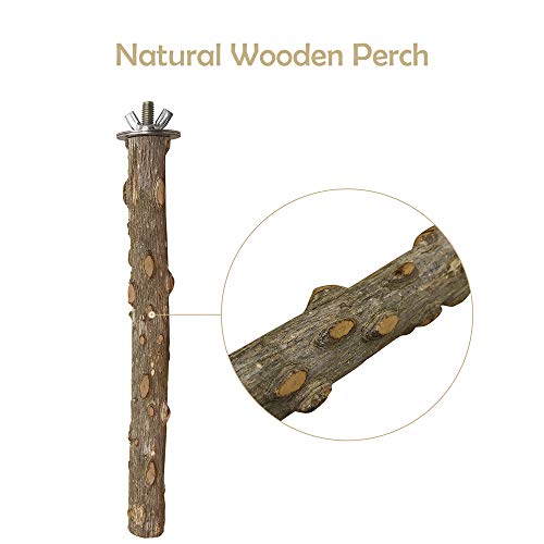 Bird Perch 4 PCS Natural Wood Stand Parakeet Toys Bird Cage Accessories for Parrots Conure Supplies Budgie Pla - view 5