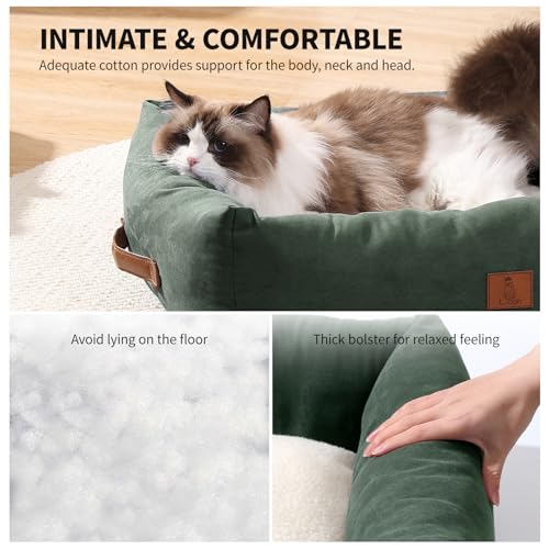 20In Dog Bed for Small Dogs & Cats - Washable Rectangle Cat Kitten Bed for Indoor Pets, Cozy Cute Puppy Bed wi - view 4