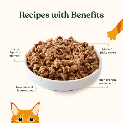 Made by Nacho Wild-Caught Chicken & Herring Recipe with Bone Broth Minced Wet Cat Food, 3-oz can, Case of 6 - view 4