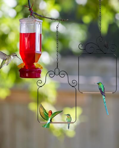 PACETAP Hummingbird Swings and Perches Metal Frame 2 Pack, Wild Bird Swing Outdoor Bird Perch with Wooden Dowe - view 3