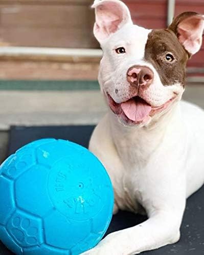 Jolly Pets Large Soccer Ball Floating-Bouncing Dog Toy, 8 inch Diameter, Ocean Blue - view 5
