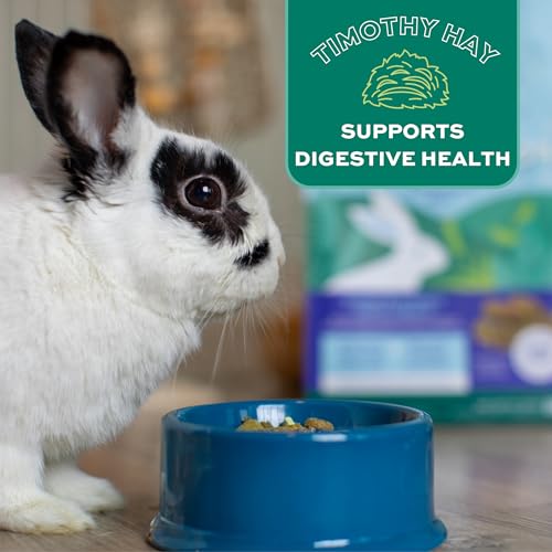 Oxbow Forage Wise Adult Rabbit Food, Engaging Variety Diet with Complete Nutrition in Every Piece, Timothy Hay - view 6