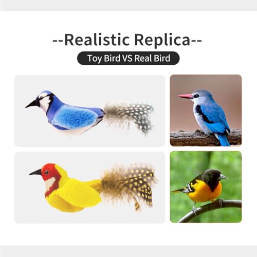 Catnip Cat Toys Satisfy Cat's Natural Hunting Instintion for Indoors Cats Feather Toys Interactive with Lifeli - view 7