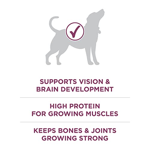 Purina ONE Plus Healthy Puppy Formula High Protein Natural Dry Puppy Food with added vitamins, minerals and nu - view 6