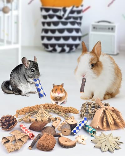 Bissap Rabbit Chew Toy, Natural Bunny Treats Snacks with Timothy Hay Water Grass Mat Coconut Husk Box for Guin - view 5