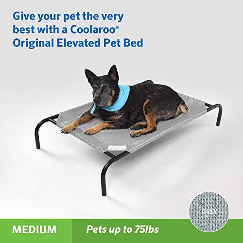 Coolaroo Original Elevated Dog Bed - Breathable Off-The-Ground Pet Bed with Cooling Fabric, Joint Relief & Moi - view 3