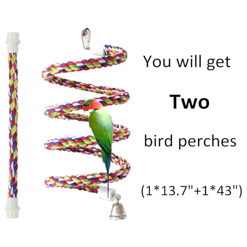 Rope Bungee Bird Toy, Small - view 3