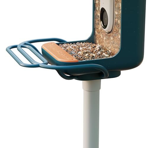 Birdbuddy Blue Perch Extender – Add-On Accessory for Better Watching Experience - Outdoor Bird Perch - Weather - view 4
