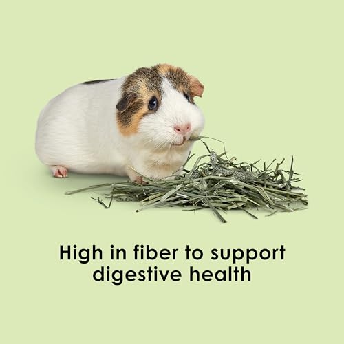Kaytee Timothy Hay, High Fiber, Grown Specifically for Small Animals, Rabbits, Guinea Pigs, Chinchillas, Ideal - view 5