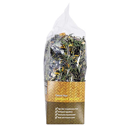 Exotic Nutrition Pasture Plus+ Dandelion Delicacy - Healthy Natural High-Fiber Dried Flower Treat - Guinea Pig - view 5