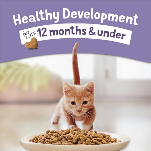 Purina Kitten Chow 14lb - view 6