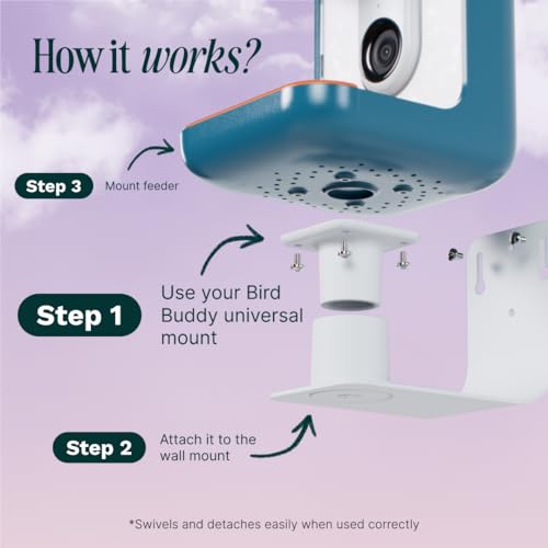 Birdbuddy Wall Mount - Versatile Bird Feeder Wall Mount for Wall & Fences - Durable, Weather-Proof Heavy Duty  - view 6