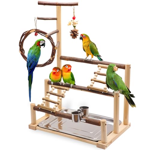 Bird Playground, Natural Wooden Parrot Stand Suitable for Small and Medium Birds, with Feeding Cups, Swing, Ch - view 2