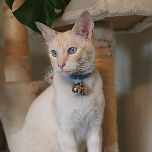 Beau's Bells 2 Extra Loud Cat & Dog Bells | Pet Tracker | Save Birds & Wildlife | Luxury Handmade Copper (Smal - view 6
