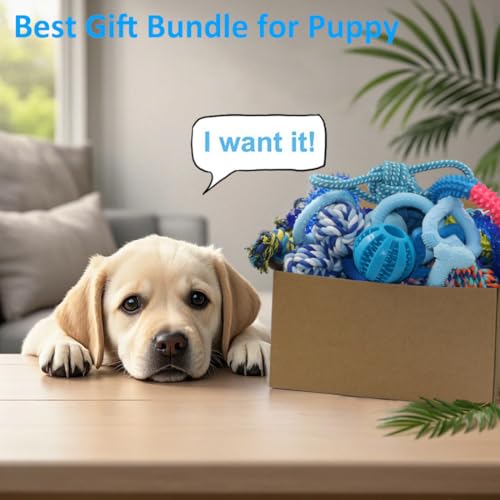 Beiker 20 Pack Puppy Chew Toys - Blue Dog Teething Toys for Puppies, Puppy Teething Rings and Ropes, Rubber To - view 7