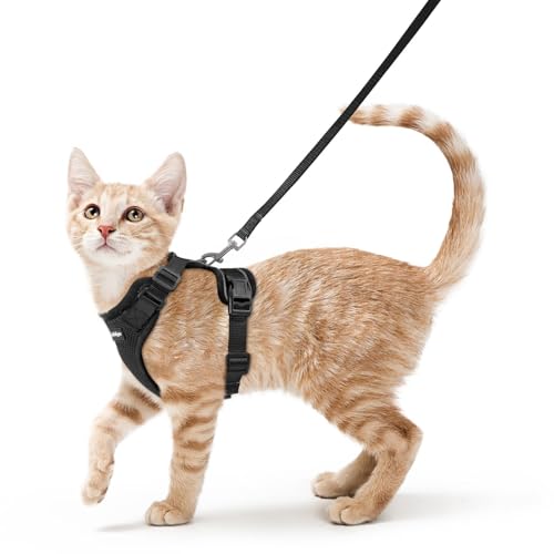 rabbitgoo Cat Harness and Leash for Walking, Escape Proof Soft Adjustable Vest Harnesses for Cats, Easy Contro - view 2