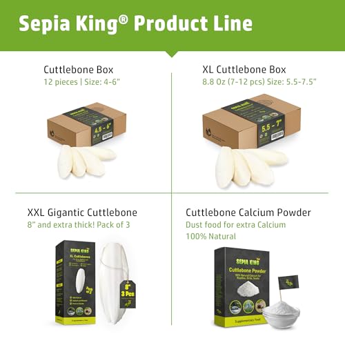 Medium - 100% Natural Calcium Supplement - Premium Cuttlebone Perfect for Birds, Tortoises, Snails, Reptiles - - view 6