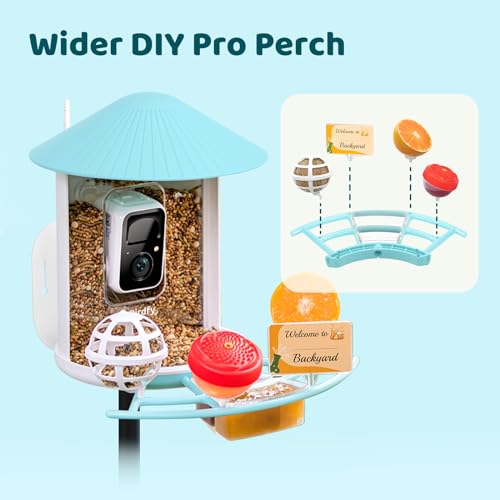 NETVUE by Birdfy Pro Perch - Wider Extension Perch to DIY Add-ons Including Suet Ball, Mini Hummingbird Feeder - view 3