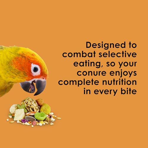 Kaytee Fiesta Conure Food, Nutritious and Fun Blend, Supports Skin, Feather, Digestion, Brain and Heart Health - view 5
