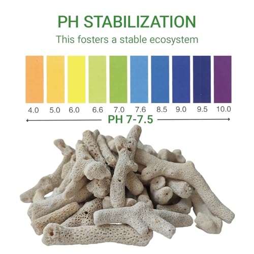 1.1lb/500g Crushed Coral, Natural Fish Tank Crushed Coral, Crushed Coral Filter for Freshwater Aquarium Ph Aqu - view 4