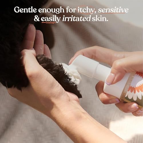 Dandylion Dog Paw Cleaner, Clean Paws, Dog Paw Washer, No Rinse Foam Cleaner for Dogs, Fragrance Free pH Balan - view 4