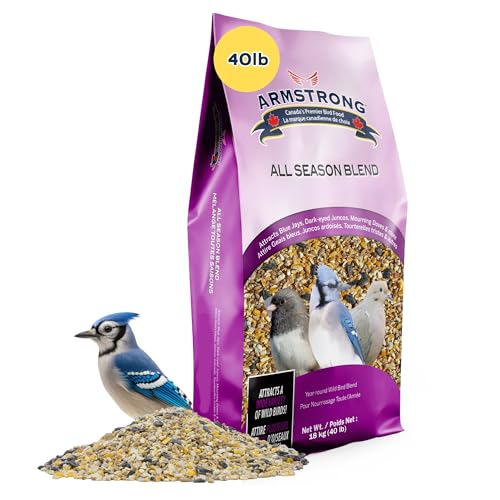 Armstrong Wild Bird Food All Season Bird Seed Blend, 40 Pounds - with Cut Corn, Wheat, White & Red Millet, Bla - view 2