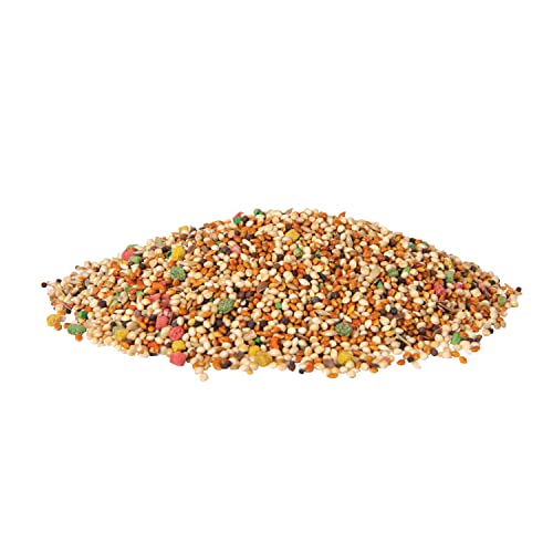 Wild Harvest Universal Blend for Small Birds, 10 lb Bag, Fortified Nutrition - view 4