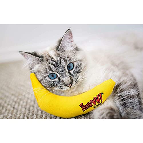 YEOWWW! DuckyWorld 100% ORGANIC CATNIP Leaf & Flower Cat Toy BANANA 3 PACK - view 4
