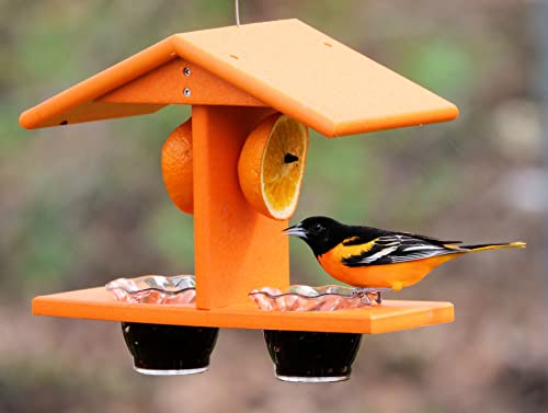 Oriole Bird Feeder, Double-Cup Jelly Oriole Feeder with Pegs for Orange Halves (Orange) - view 2