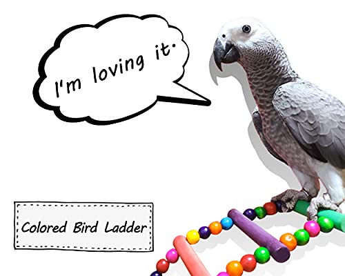 DS. DISTINCTIVE STYLE Bird Ladder Toys Coloured Flexible Parrot Swing Bridge Wooden Cockatiel Cage Hanging Cli - view 4