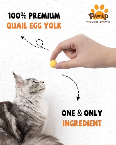 PAWUP Freeze Dried Quail Egg Yolk Pet Treats, Freeze-Dried Pet Food for Dogs, Cats, Pure Fresh Ingredient, 4.2 - view 3
