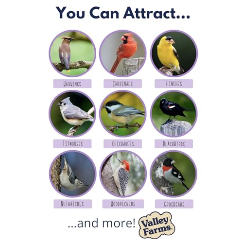 Valley Farms Fruit Nut & Berry (4 LB) Wild Bird Food Outside Feeders, Bird Seed with Dried Fruit, Peanuts, Sun - view 4