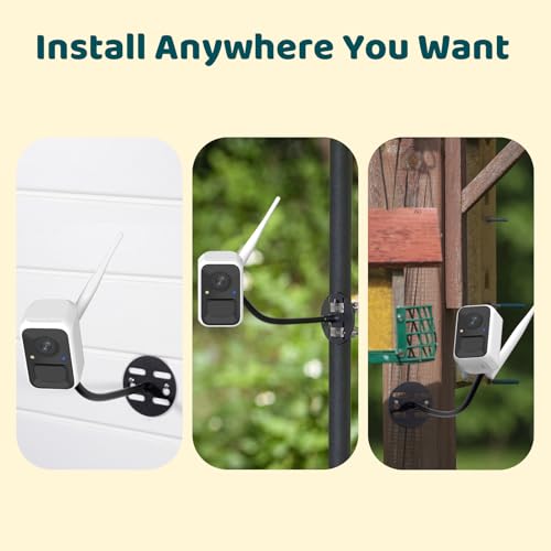 NETVUE by Birdfy Smart Bird Feeder Camera, Adjustable Brackets, Auto Bird Video Capture, Instant Notifications - view 5