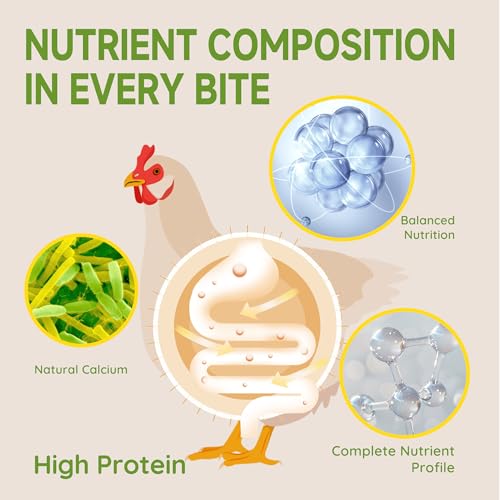 5LB Non-GMO Dried Black Soldier Fly Larvae for Chickens 45% Protein High Calcium Chicken Feed Alternative to M - view 7