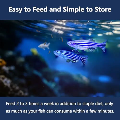 JADINGSFRAM Blood Worms Fish Food 3.5 oz, Freeze Dried Bloodworms for Fish, Bloodworms Fish Food for Freshwate - view 7