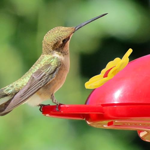 16 Pieces Hummingbird Feeders Replacement Flowers Yellow Pet Replacement Bird Feeder Replacement Parts with 2  - view 6