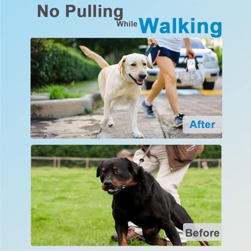 Prong Collar for Dogs, Dog Training Collar, Adjustable Size Dog Pinch No Pull Collar with Quick Release Buckle - view 3