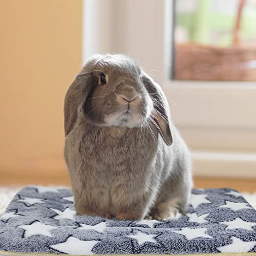 3PCS Guinea Pig Bed Soft Rabbit Bedding Cage Liner Warm Bunny Mats Pee Pads Fleece Blanket Plush Hamster Sleep - view 5