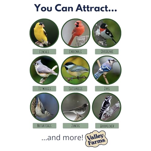 Valley Farms Super Deluxe Wild Bird Food for Outside feeders - 0% fillers - Loads of Sunflower Seed - w/Peanut - view 4