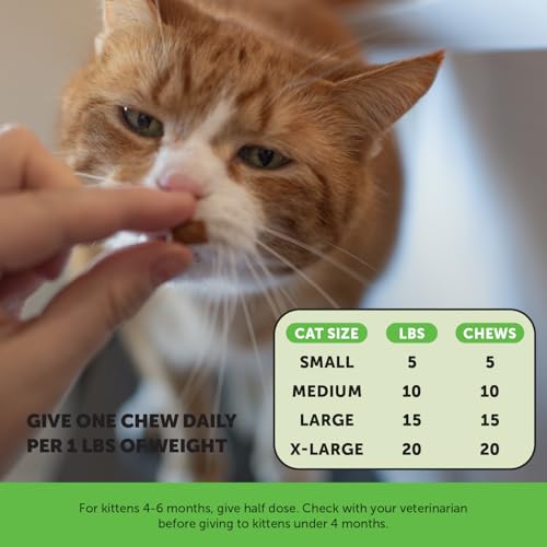 Cat Probiotics Gut + Immune Health Chews – Crunchy & Creamy Cat Treats for Digestive Health, Gut Flora & Const - view 7