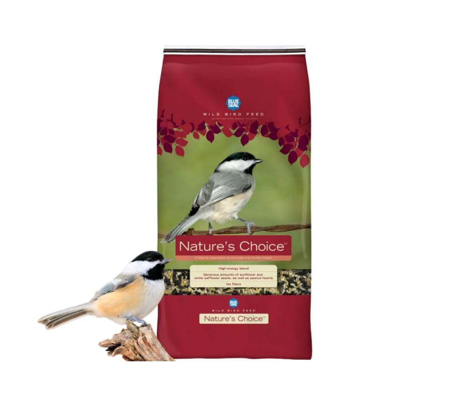 Blue Seal Nature's Choice Wild Bird Seed | High Energy Mix, No Filler | Sunflower and White Safflower Seeds | 